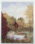 Lily Pond