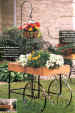 Deluxe Lawn and Deck Flower Carts