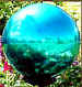 Mirrored Gazing Globes