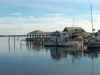 panama_city_marina.jpg (11842 bytes)