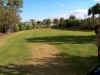 dog_walk.jpg (15442 bytes)