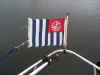 flag_damage.jpg (11813 bytes)